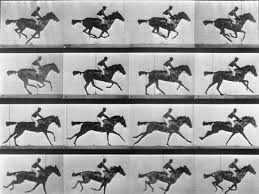 Degas e i cavalli: l'arte di rappresentare il movimento 1 Degas e i cavalli: fotografia del galoppo di un cavallo