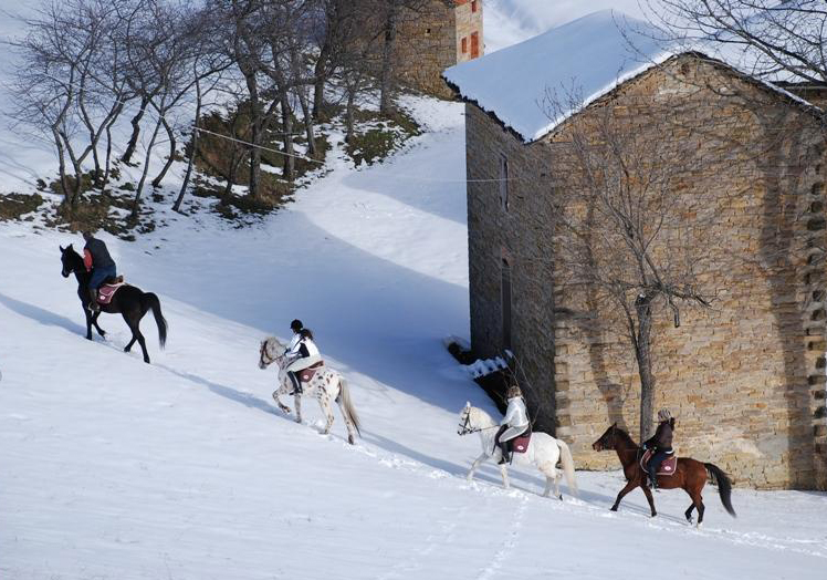Turismo equestre in inverno 1 cavallo a natale