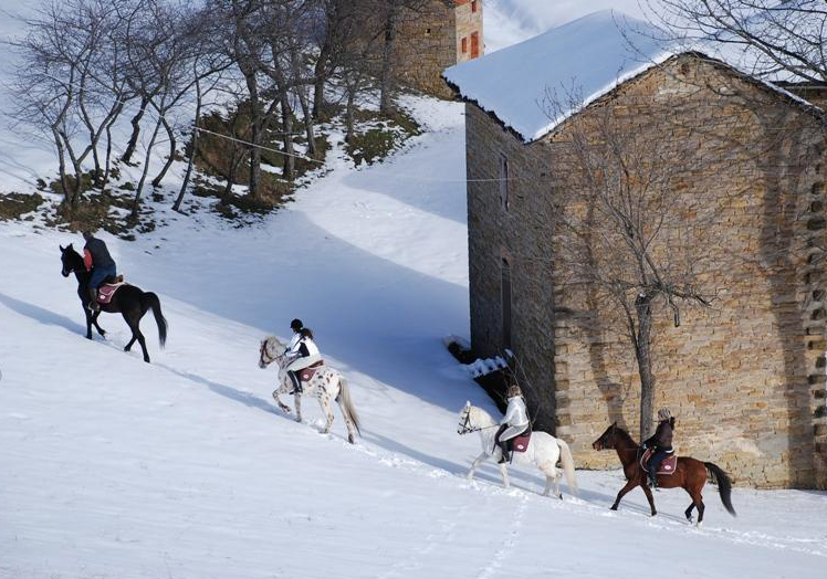 cavallo a natale