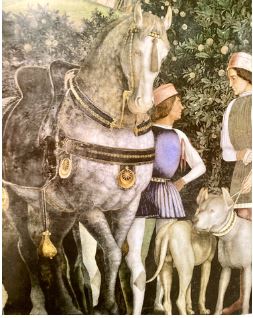 cavallo di mantegna