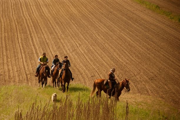 FIERACAVALLI, indagine: professionista, benestante ma soprattutto cavaliere. 1 cavallo e natura passeggiate