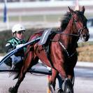 cavallo iglesias 1