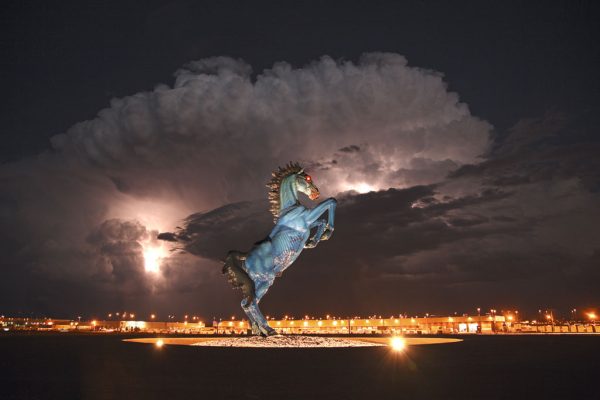 cavalloDenver