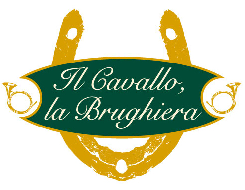 cavallo brughera 2