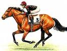 cavalloda corsa