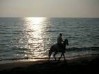 cavallospiaggia