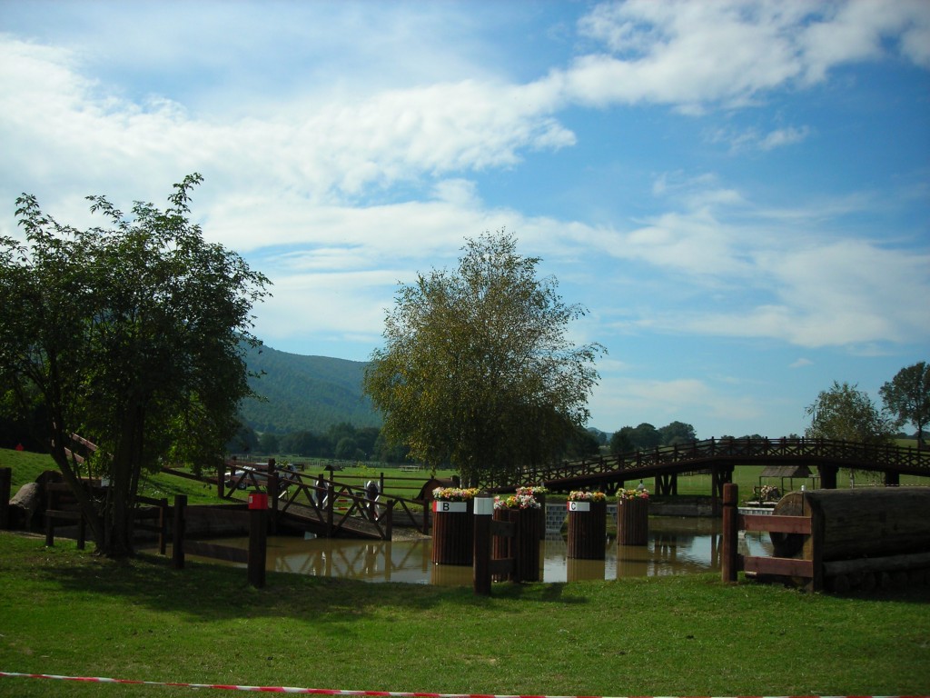 Petition formed to save Italian equestrian centre 1 cef 1