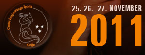 celjefei 2011 banner copia
