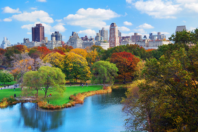 Il grande sport equestre ospite a Central PArk (NY) nel mese di settembre presentato da Rolex. 1 central