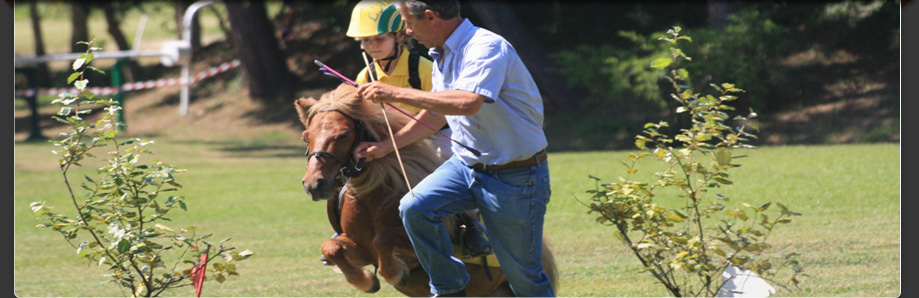 PONYMANIA IN ITALY! 1 cervia 1