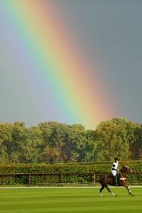 chantilly polo