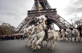 cheval 1