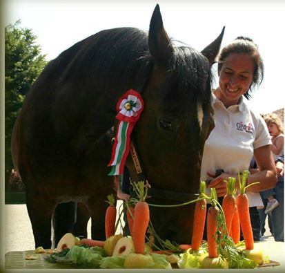 “The Captain” Varenne turns 19 today 1 compleanno varenne 1