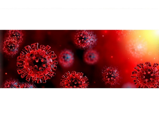 coronavirus 1 0