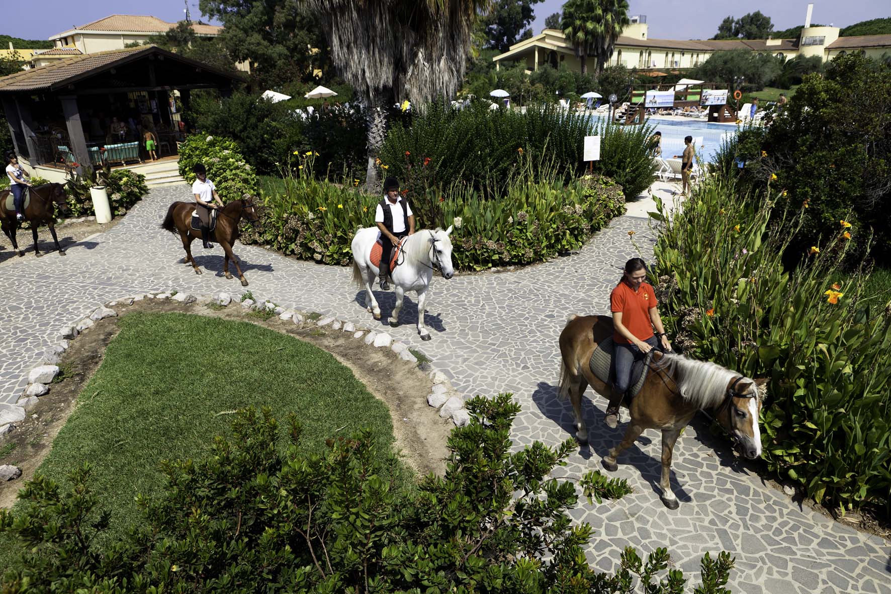 I TOUR OPERATOR DEGLI EMIRATI SCOPRONO LA SARDEGNA 1 country horse 4
