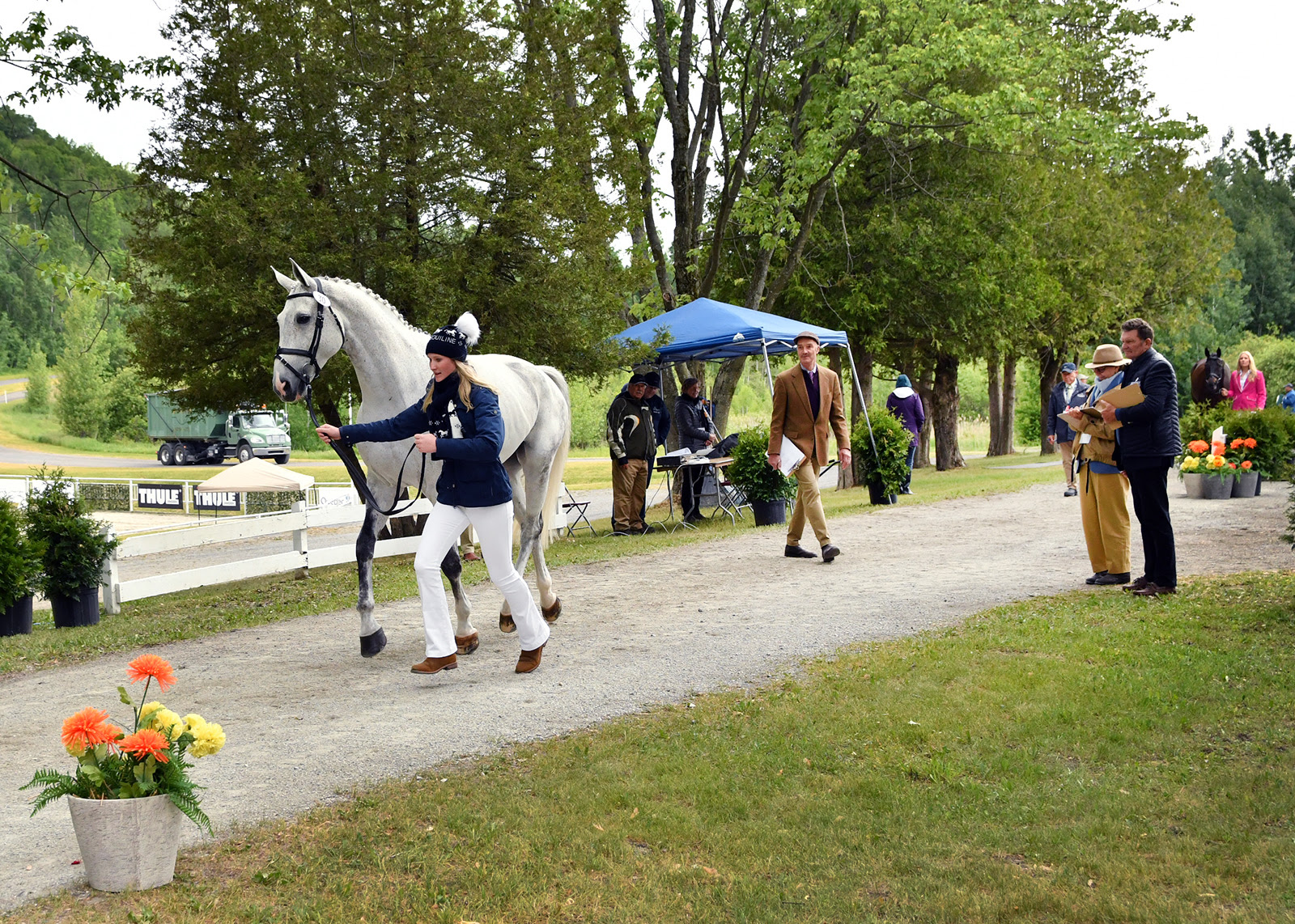 87 cavalli e cavalieri diretti al MARS Bromont CCI 1 Credits Michelle Dunn - MARS Bromont CCI