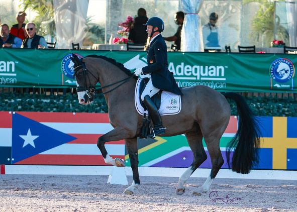 Dressage: Il tedesco Christoph Koschel vince il FEI Grand Prix CDI4 * 1 cristoph Koschel foto Susan Stickle. 0
