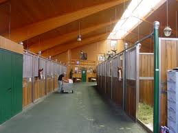 Attualità: Il Schumacher Ranch in Texas 1 cs ranch 2