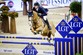 CSI5* Basle: excellent win for Italy’s Gaudiano on day 3 of Swiss event. 1 deusser 9