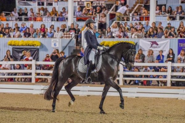 Dressage a Devon: 27 settembre - 2 ottobre 2022 5 devon. 0