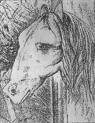 disegnocavallo 1