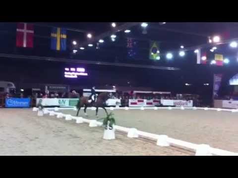 drachten indoor dressage