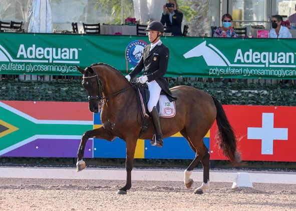 dressage guenter siedel