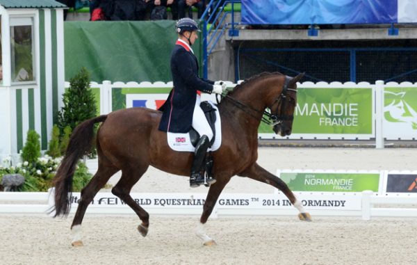 dressage 1