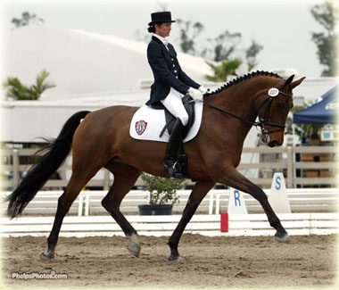 Dressage: Truccazzano and Vermezzo to stage the Lombardy Individual Cup and Lombardy Winter Cup 2015. 1 dressage 2