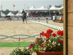 dressage la mandria