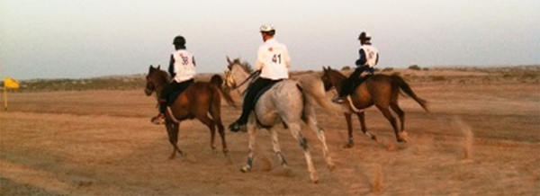 dubay