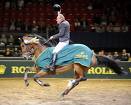 Gran Premio di Wiesbaden a Markus Ehning 1 ehning 2