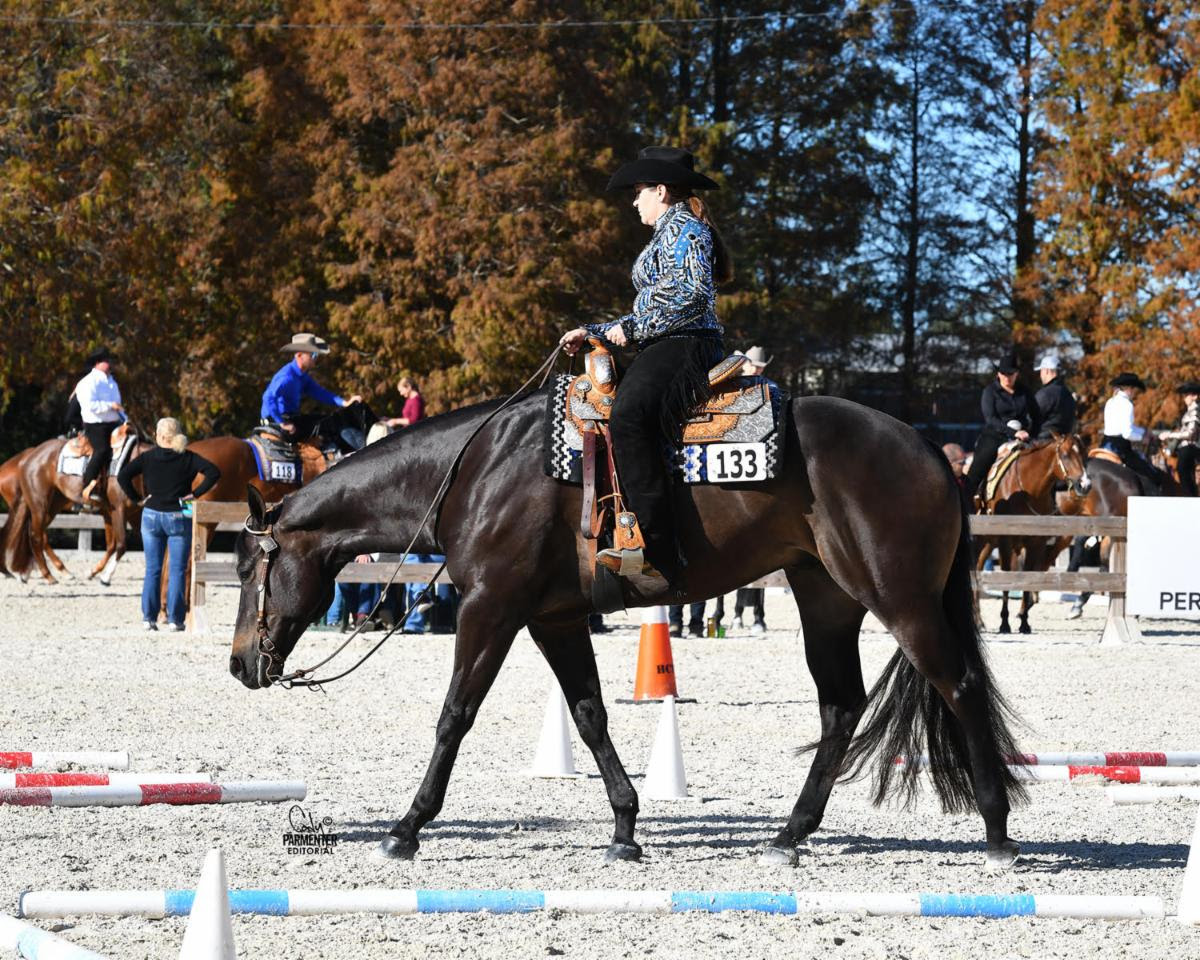 Riders di tutte le età per il circuito di Quarter Horse della Florida Gold Coast 1 elissa phelps 0