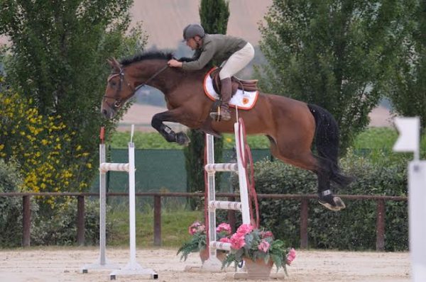 emanuele addis 1