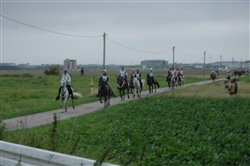 endurance 19