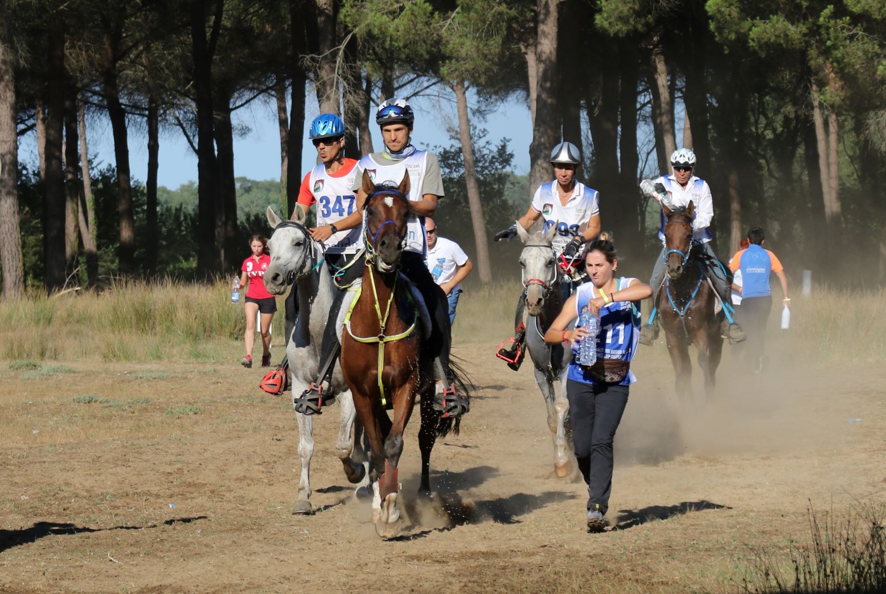 Il Gotha equestre scalda i motori a Pisa San Rossore Posta in arrivo 1 endurance 2018