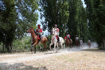 PISA CALLS TRYON 1 endurance lyfestile. 0