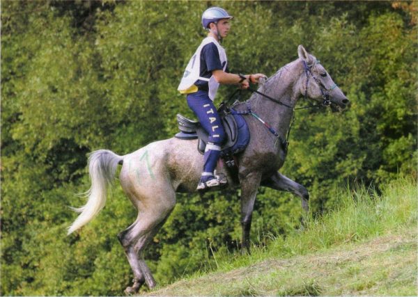 endurance1