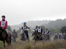FEI suspends UAE Federation. 1 endurance 2 1