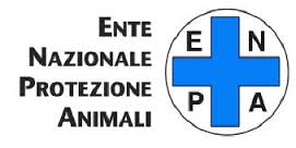 Ad Arezzo Progetto Islander tocca il cuore e raccoglie i fondi per L’E.N.P.A. 1 enpa 1