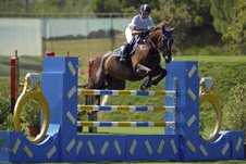 equestrian 0 1