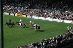 equitazione americana aachen 2006 11
