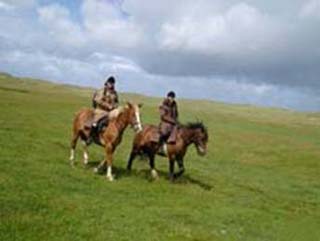 escursioni cavallo
