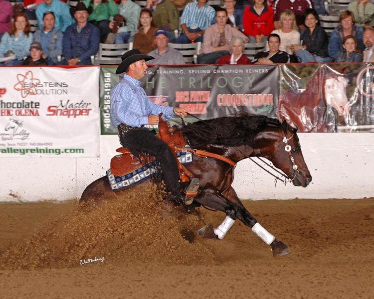 Italy joins 2009 FEI European Reining Championships 1 fappani 2