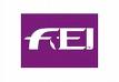 fei 2