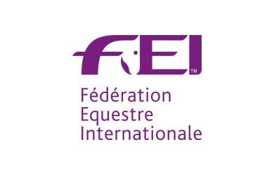 fei logo c