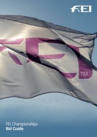 fei 13