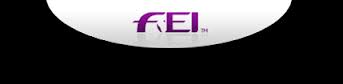 fei 14