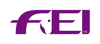 fei 20