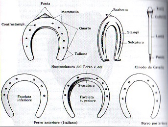 ferratura meschia HSJ